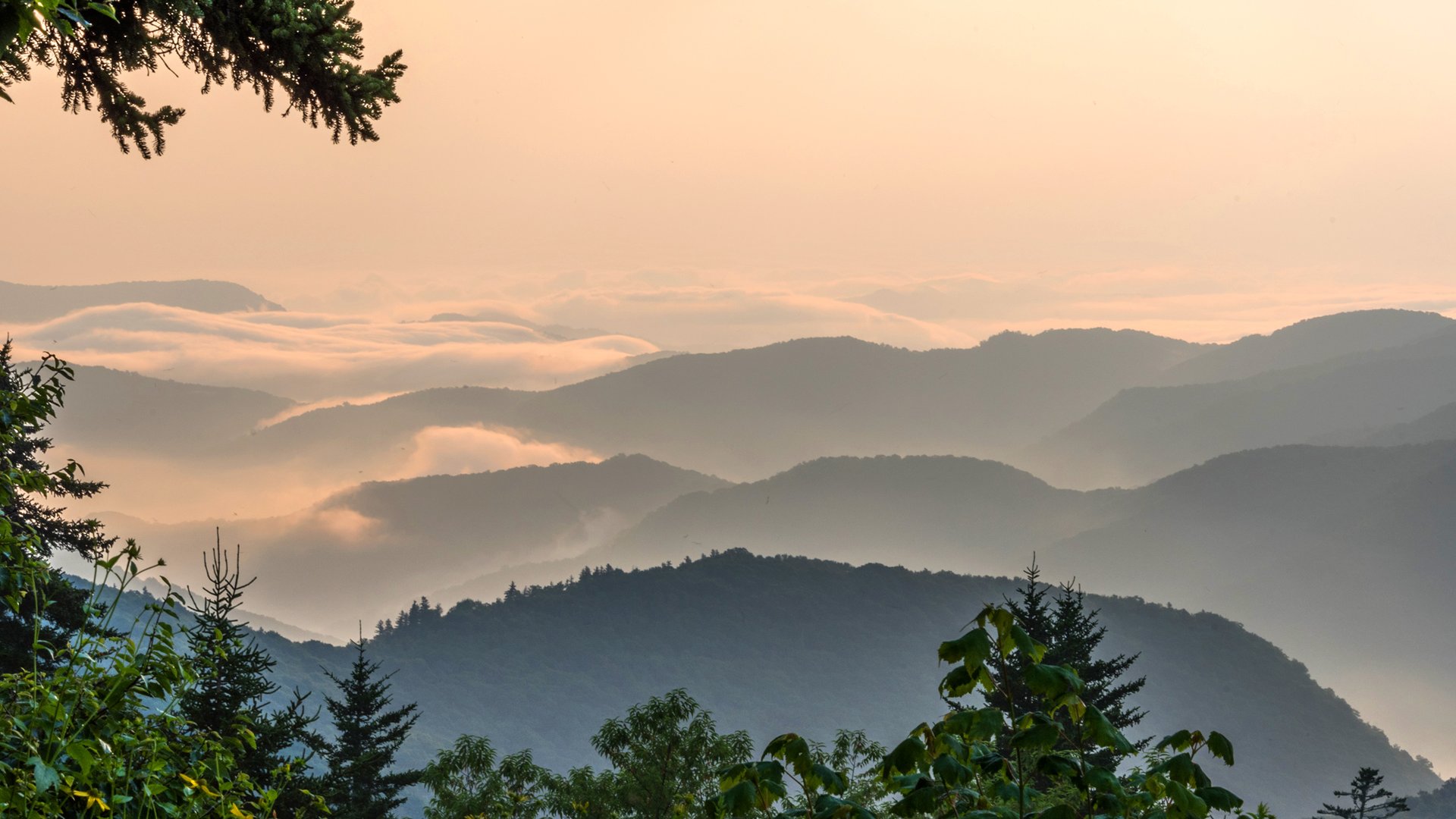 Blue Ridge Traveler, Things to Do, Official Travel Guide to the Blue Ridge  Mountains & NC Foothills
